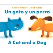 UN Gato Y UN Perro/a Cat and a Dog
