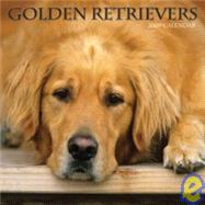 Golden Retrievers 2009 Calendar