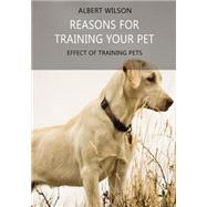 Reasons for Training Your Pet