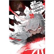 Is It Wrong to Try to Pick Up Girls in a Dungeon?, Vol. 20 (light novel)
