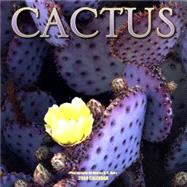 Cactus 2004 Calendar