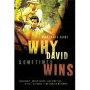 Why David Sometimes Wins : Leadership, Organization, and Strategy in the California Farm Worker Movement