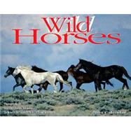 Wild Horses 2004 Calendar