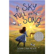 A Sky Full of Song,9781454947868