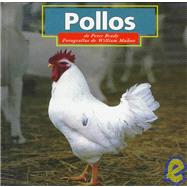 Pollos(Chickens)