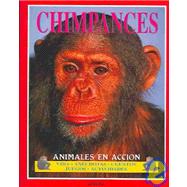 Chimpances: Animales en accion