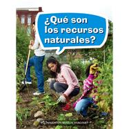 Que son los recursos naturales?