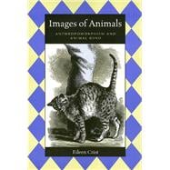 Images of Animals