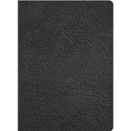 KJV Study Bible, Full-Color, Holman Handcrafted Collection, Black Premium Goatskin