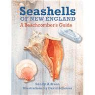 Seashells of New England A Beachcomber's Guide