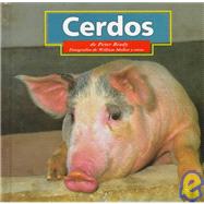 Cerdos(Pigs)
