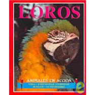 Loros / Parrots: Animales en accion