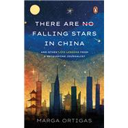 There are No Falling Stars in China  and Other Life Lessons from a recovering Journalist