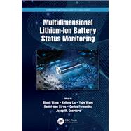 Multidimensional Lithium-Ion Battery Status Monitoring