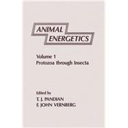 Animal Energetics, Vol. 1 : Protozoa Through Insects