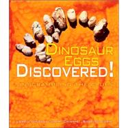 Dinosaur Eggs Discovered