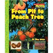 From Pit to Peach Tree