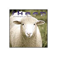 Sheep 2002 Calendar