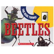The Real Thing: Beetles