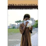 Race in Another America
