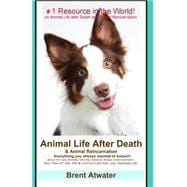 Animal Life After Death & Animal Reincarnation