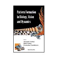 Pattern Formation in Biology, Vision and Dynamics