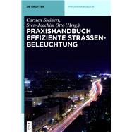 Praxishandbuch effiziente Straßenbeleuchtung