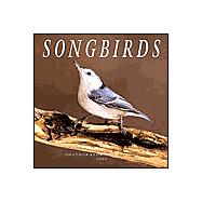 Songbirds 2002 Calendar