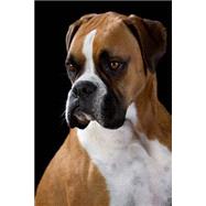 The Boxer Dog Journal