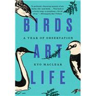 Birds Art Life A Year of Observation
