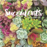 Succulents 2020 Calendar