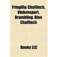 Fringill : Chaffinch, Vinkensport, Brambling, Blue Chaffinch