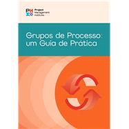 Process Groups: A Practice Guide (BRAZILIAN PORTUGUESE)