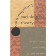 Contemporary Socialogical Theory