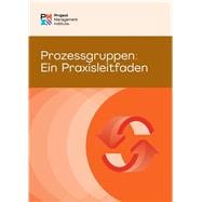 Process Groups: A Practice Guide (GERMAN)