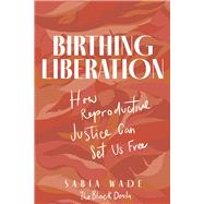 Birthing Liberation How Reproductive Justice Can Set Us Free