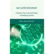 SME Cluster Development A Dynamic View of Survival Clusters in Developing Countries