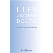 Life Beyond Death What Should We Expect?