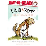 Elvis & Romeo Go to Dog School Ready-to-Read Level 1