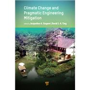 Climate Change and Pragmatic Engineering Mitigation