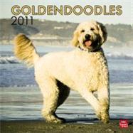Goldendoodles 2011 Calendar