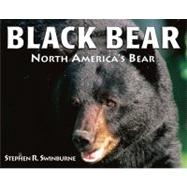 Black Bear North America's Bear