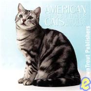 American Shorthair Cats 2006 Calendar