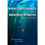 Marine Ecosystem-based Management in Practice