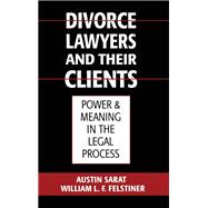 Divorce Lawyers and Their Clients Power and Meaning in the Legal Process