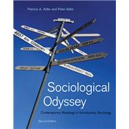 Sociological Odyssey Contemporary Readings in Introductory Sociology