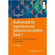 Mathematik für Ingenieure und Naturwissenschaftler Band 1