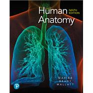 Human Anatomy