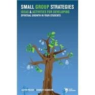 Small Group Strategies : Ideas and Activities for Developing Spiritual Growth in Your Students