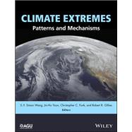 Climate Extremes: Patterns and Mechanisms